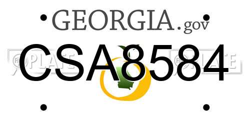 CSA8584 Georgia License Plate