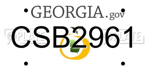 CSB2961 Georgia License Plate