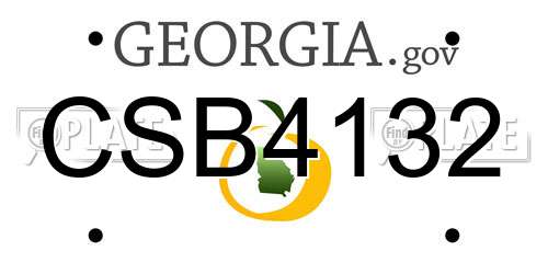 CSB4132 Georgia License Plate