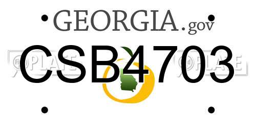 CSB4703 Georgia License Plate