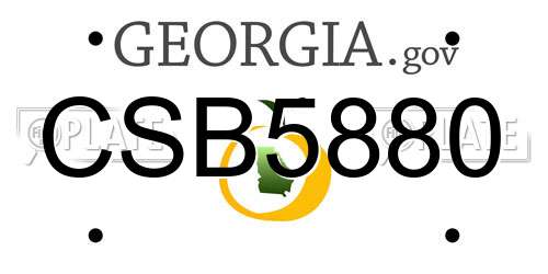 CSB5880 Georgia License Plate