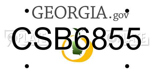 CSB6855 Georgia License Plate