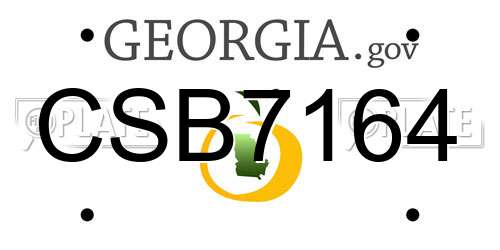 CSB7164 Georgia License Plate
