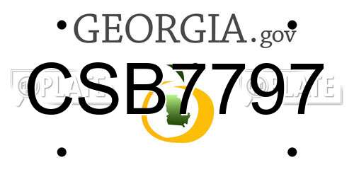 CSB7797 Georgia License Plate
