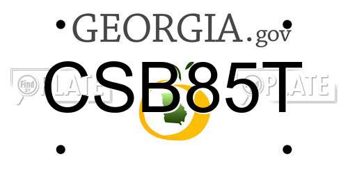 CSB85T Georgia License Plate