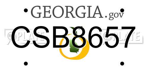 CSB8657 Georgia License Plate