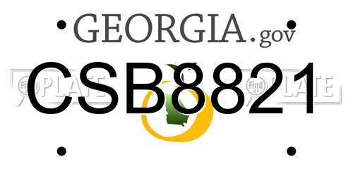 CSB8821 Georgia License Plate