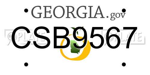 CSB9567 Georgia License Plate