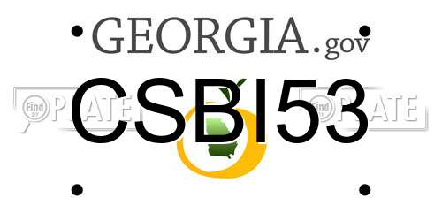 CSBI53 Georgia License Plate
