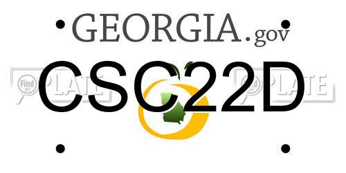 CSC22D Georgia License Plate