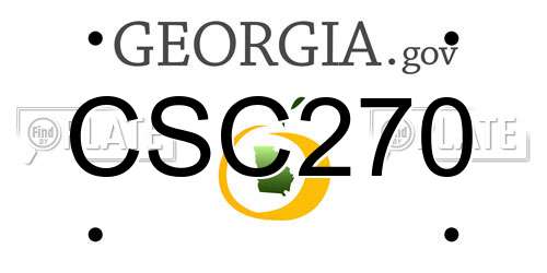 CSC270 Georgia License Plate