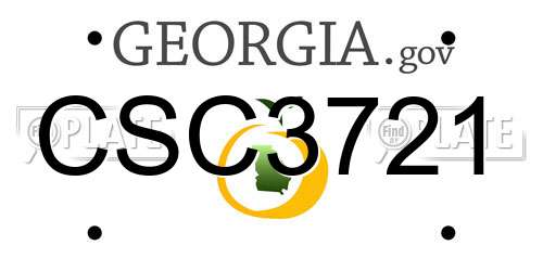 CSC3721 Georgia License Plate