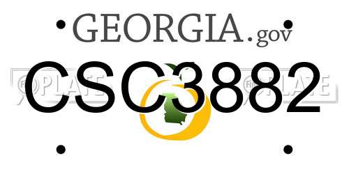 CSC3882 Georgia License Plate