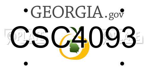 CSC4093 Georgia License Plate