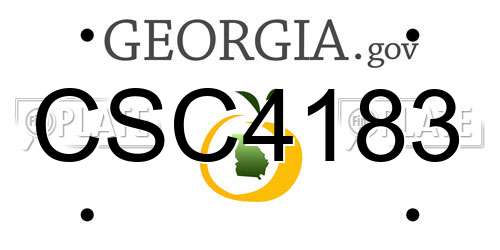 CSC4183 Georgia License Plate
