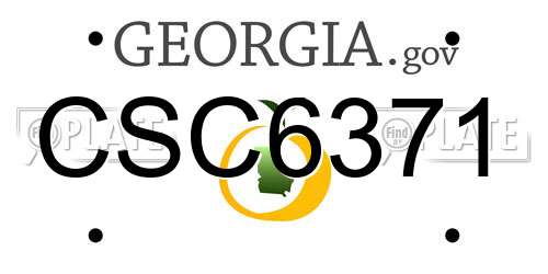 CSC6371 Georgia License Plate