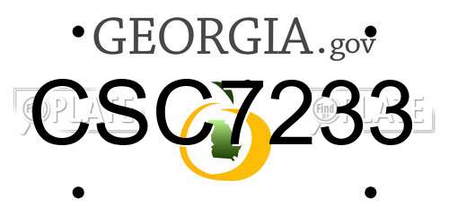 CSC7233 Georgia License Plate