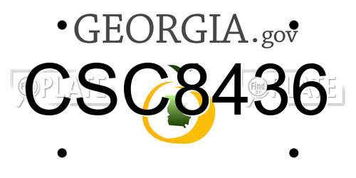 CSC8436 Georgia License Plate