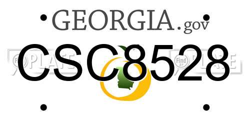 CSC8528 Georgia License Plate