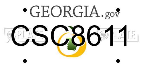 CSC8611 Georgia License Plate