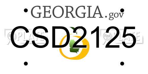 CSD2125 Georgia License Plate