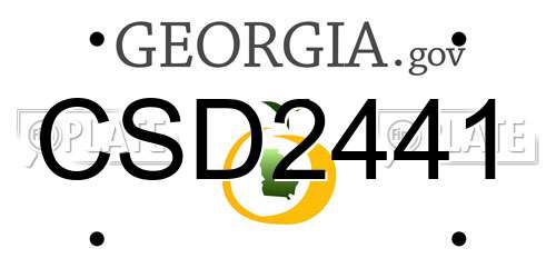 CSD2441 Georgia License Plate