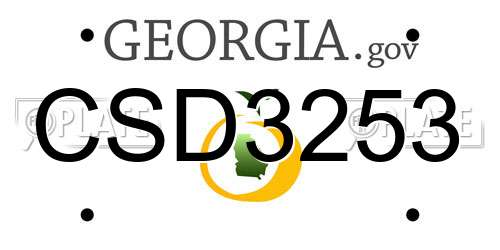 CSD3253 Georgia License Plate