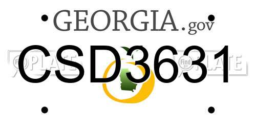 CSD3631 Georgia License Plate