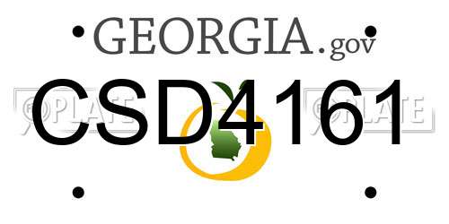 CSD4161 Georgia License Plate