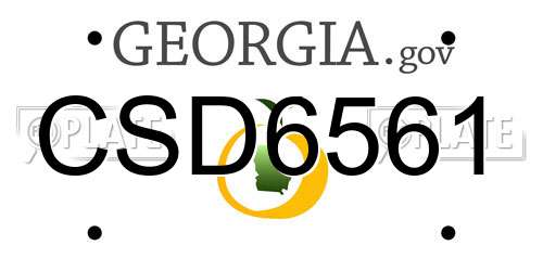 CSD6561 Georgia License Plate