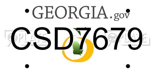 CSD7679 Georgia License Plate
