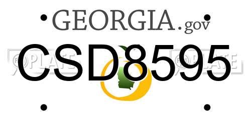 CSD8595 Georgia License Plate