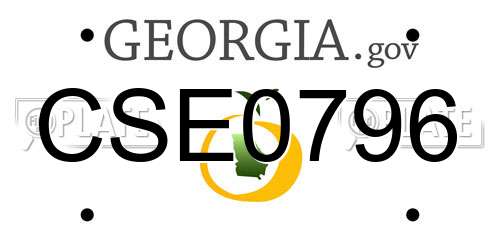 CSE0796 Georgia License Plate