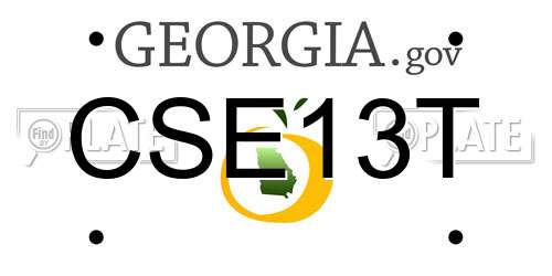 CSE13T Georgia License Plate