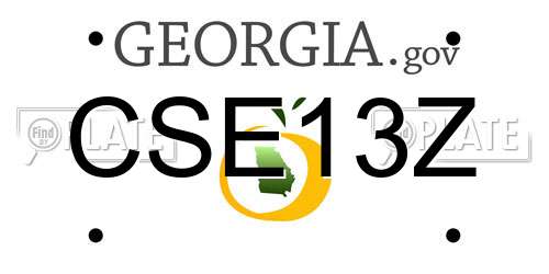 CSE13Z Georgia License Plate