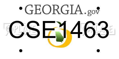 CSE1463 Georgia License Plate