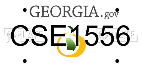 CSE1556 Georgia License Plate