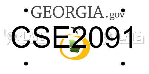 CSE2091 Georgia License Plate