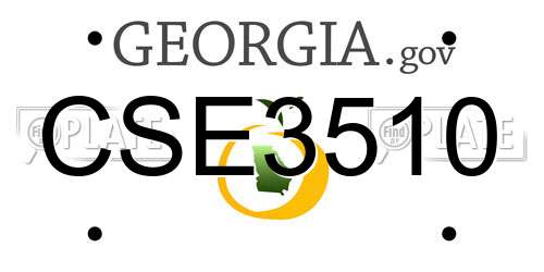 CSE3510 Georgia License Plate
