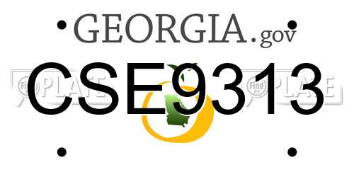 CSE9313 Georgia License Plate