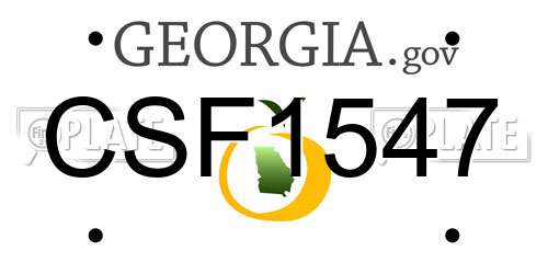 CSF1547 Georgia License Plate