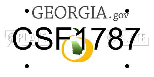 CSF1787 Georgia License Plate
