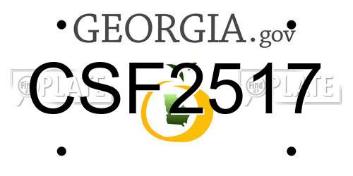 CSF2517 Georgia License Plate
