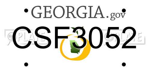 CSF3052 Georgia License Plate