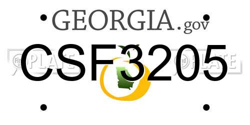 CSF3205 Georgia License Plate