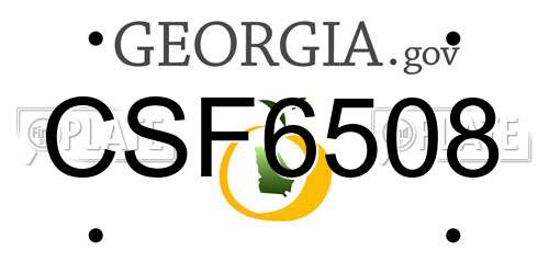 CSF6508 Georgia License Plate