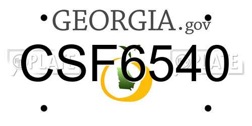 CSF6540 Georgia License Plate