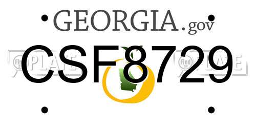 CSF8729 Georgia License Plate