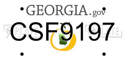CSF9197 Georgia License Plate