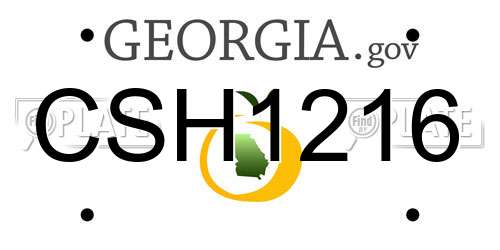 CSH1216 Georgia License Plate